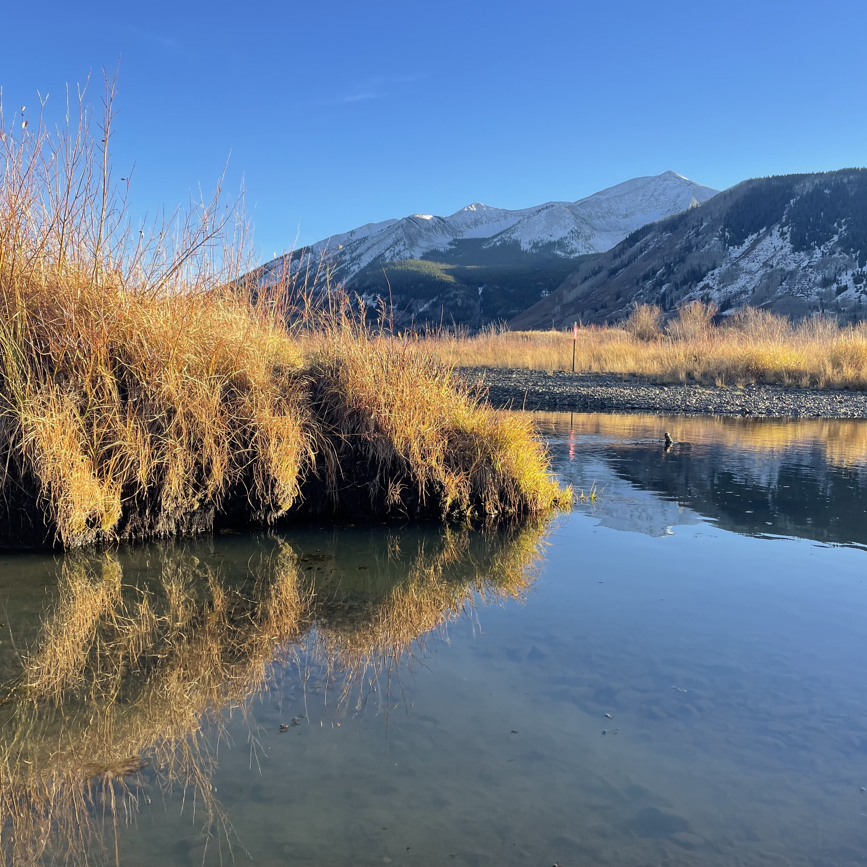 Town Ranch Wetland Restoration Project - logo